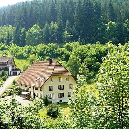 Country Style Flat With Garden Leilighet Triberg im Schwarzwald Eksteriør bilde