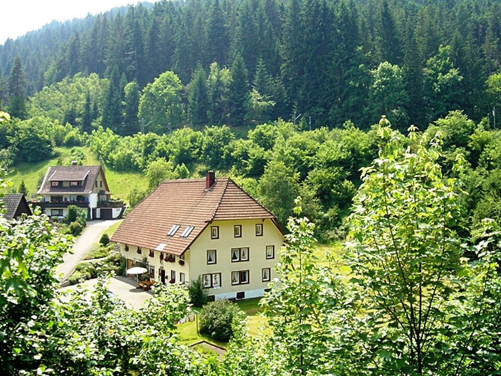 Country Style Flat With Garden Leilighet Triberg im Schwarzwald Eksteriør bilde